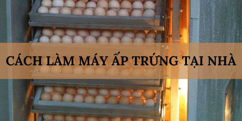 Banner www.worldlinkgroup.vn