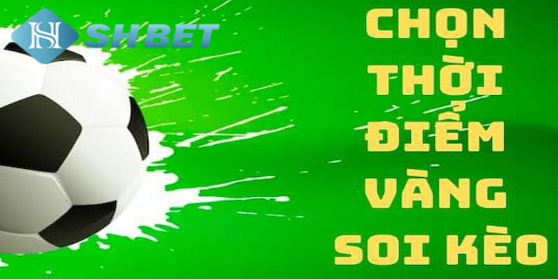 Banner www.worldlinkgroup.vn