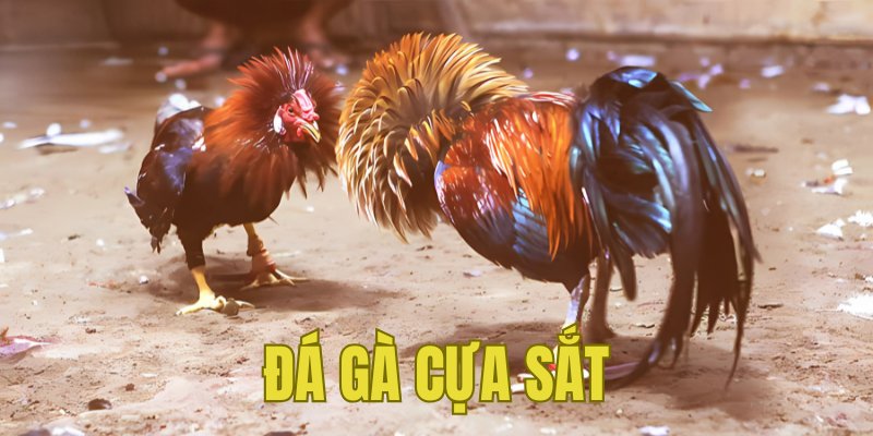 Banner www.worldlinkgroup.vn