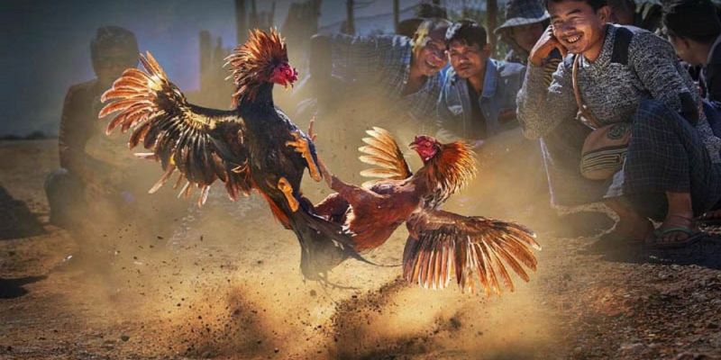 Banner www.worldlinkgroup.vn