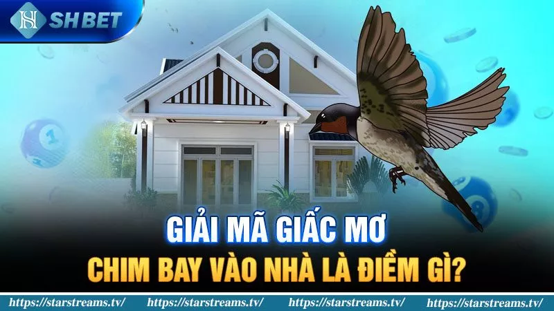 Banner www.worldlinkgroup.vn