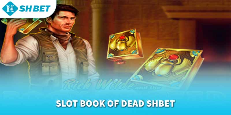 Banner www.worldlinkgroup.vn