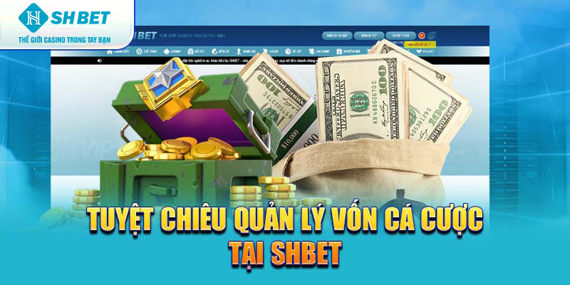 Banner www.worldlinkgroup.vn